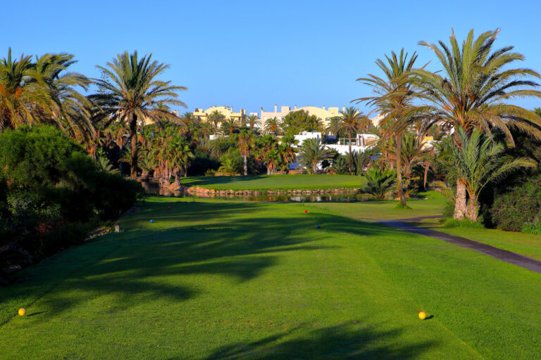 Tee box with trees