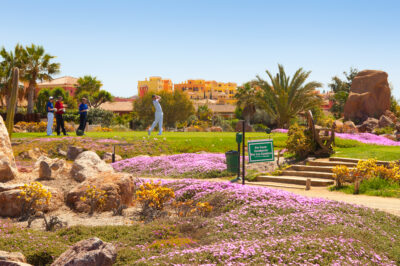 Golfers playing golf