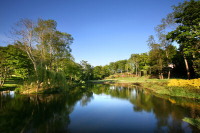 Lake with trees around at Druids Glen Golf Course