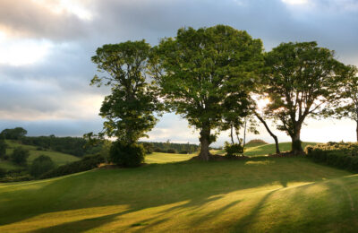 Trees on fairway at Druids Heath Course