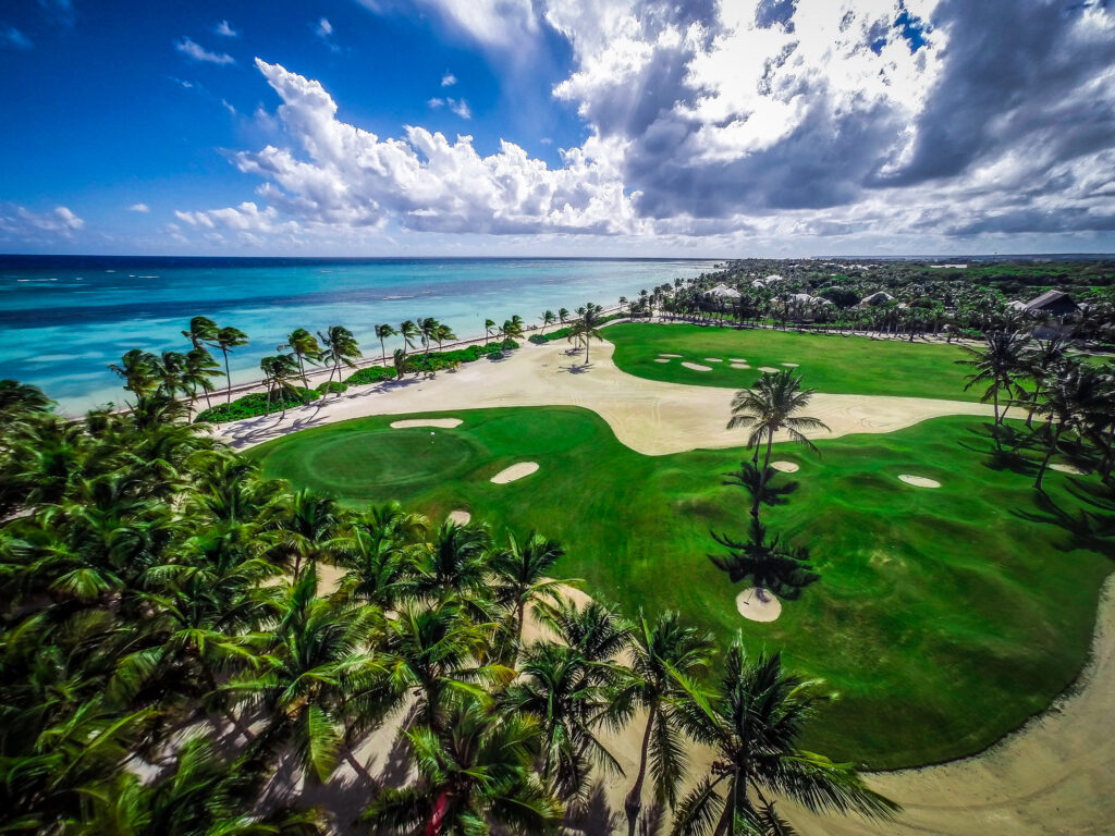 la cana golf palm tree ocean