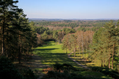 Tree-lined fairway