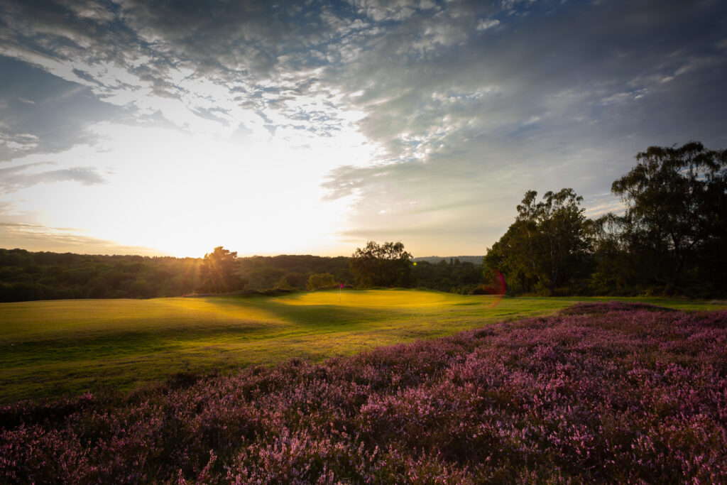 Hole with red flag at Royal Ashdown Forest - Old Course with trees around and heather in the foreground
