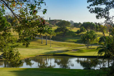 Lake with palm trees around