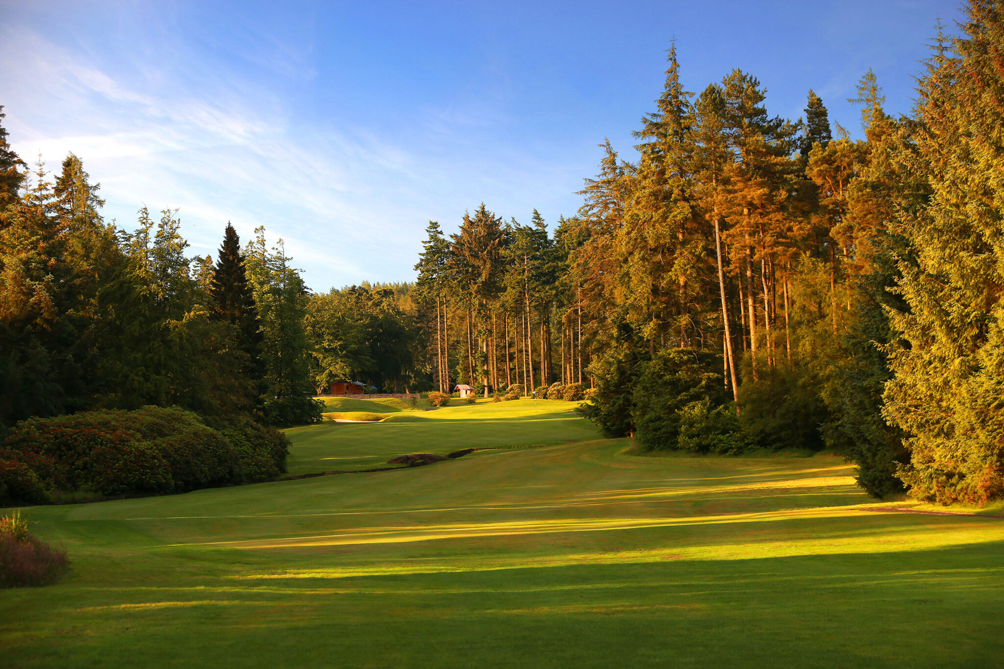Fairway with trees around at Slaley Hall Hunting Course on a sunny day