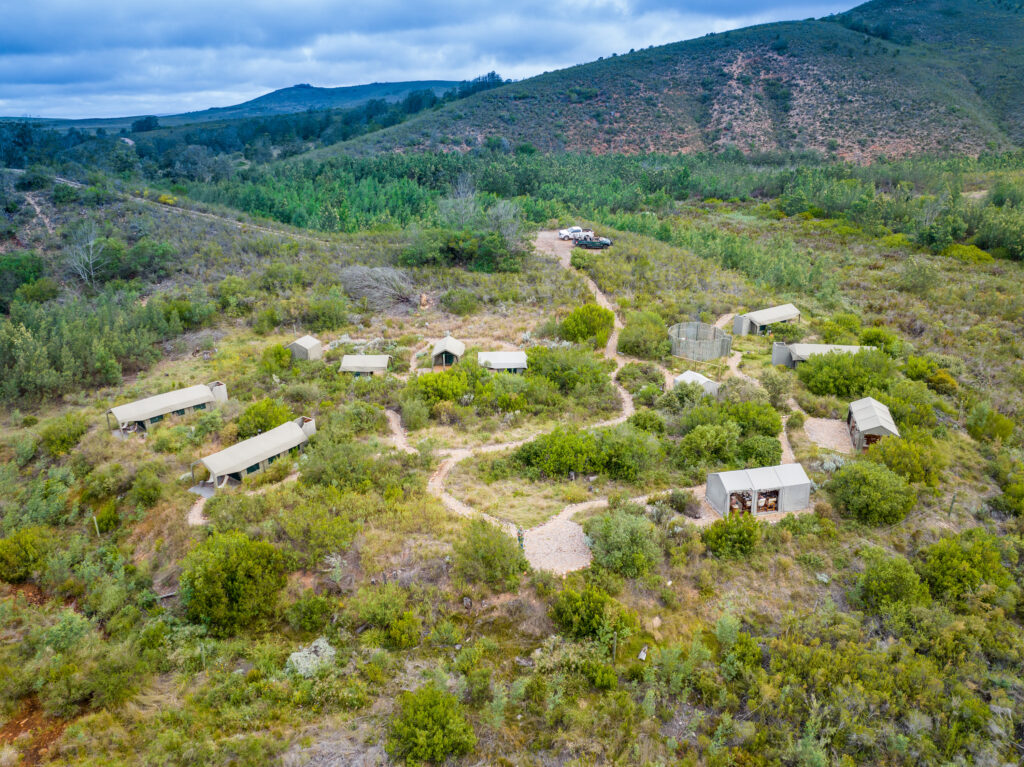 Pioneers Trail in Africa