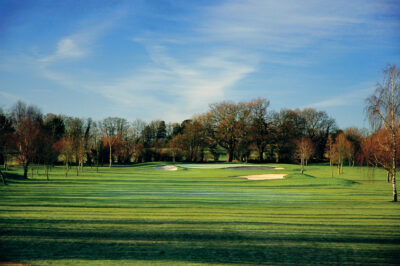 Fairway with trees