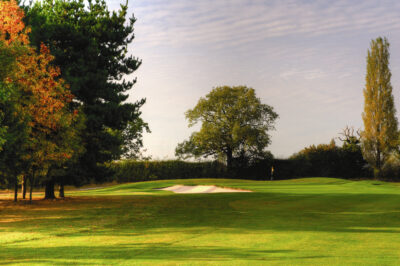 Fairway with trees around