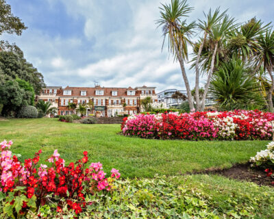 Red and pink flowers with palm trees, with Hotel Miramar in background