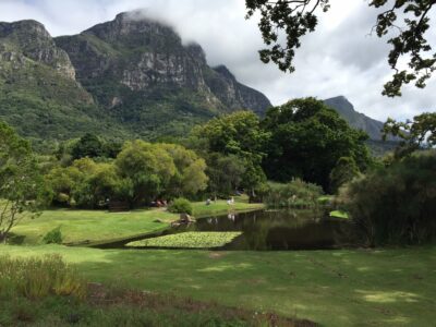 distant view of kirstenbosch botanical gardens
