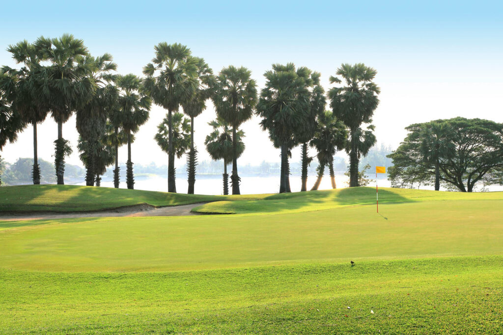 Palm Hills Golf Club