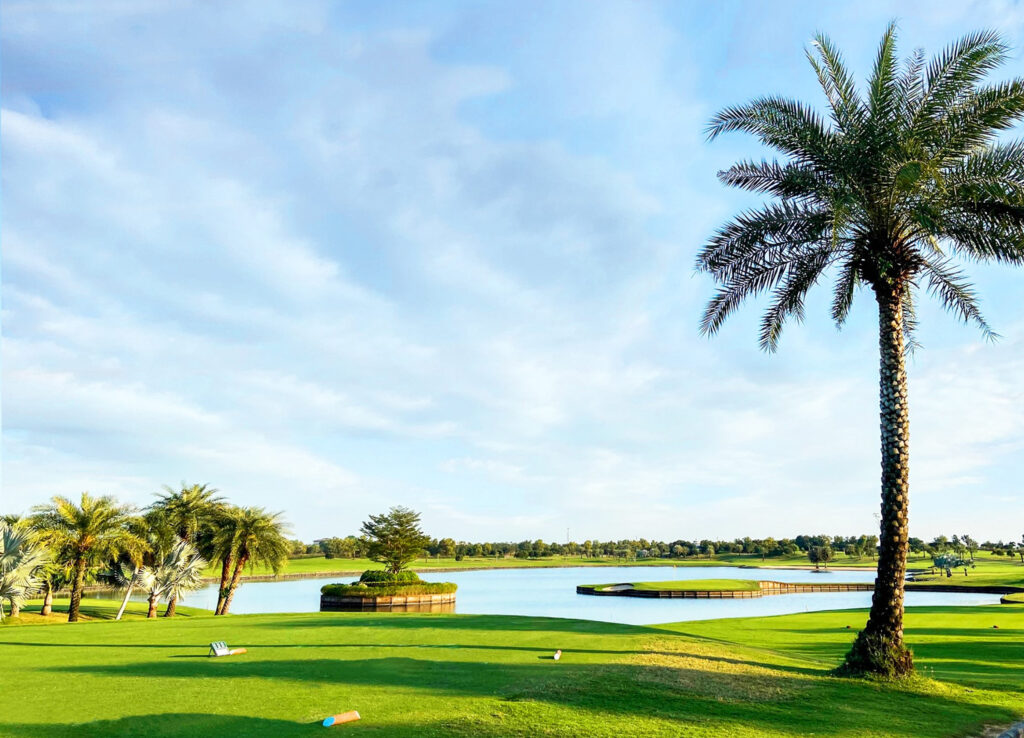 The RG City Golf Club