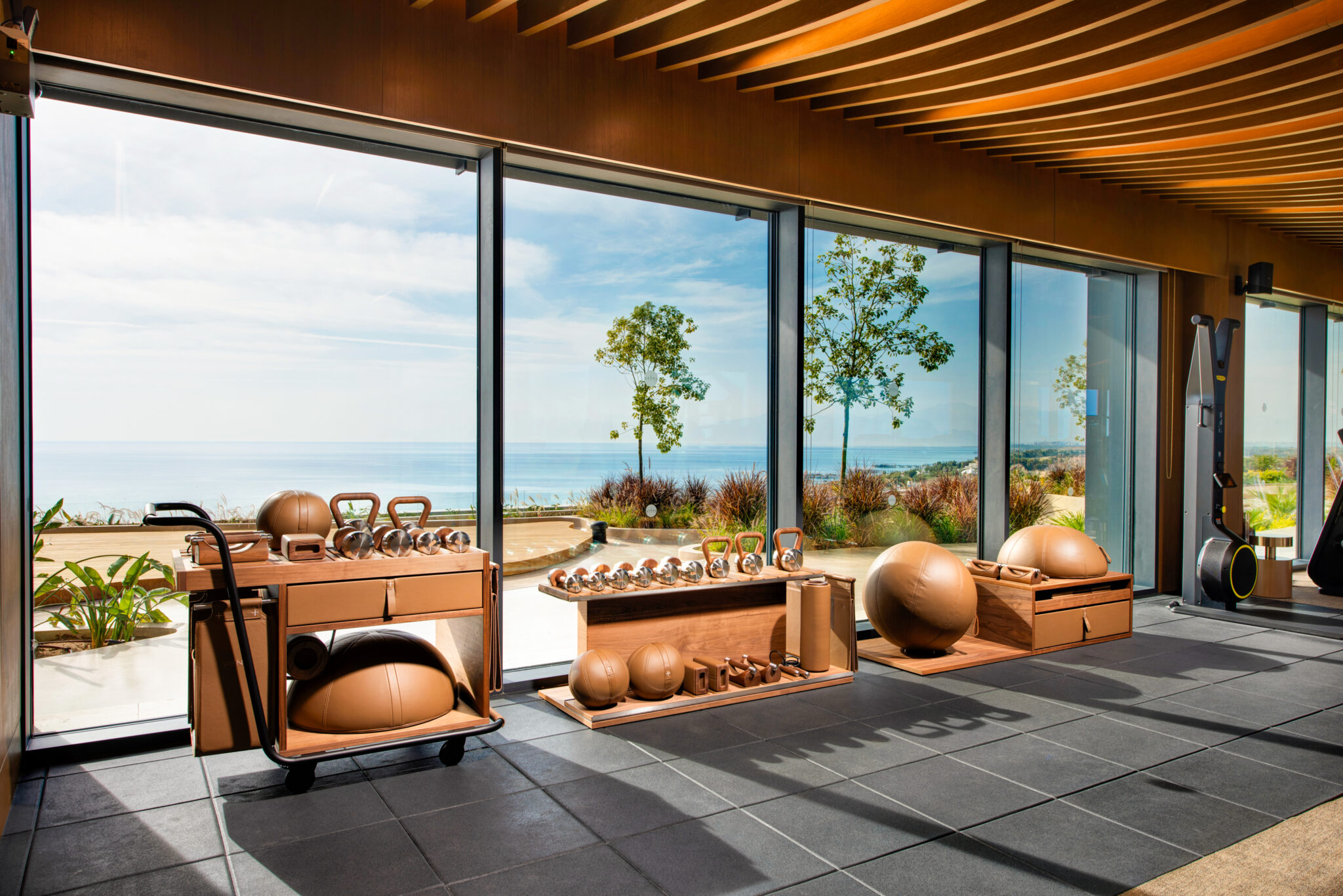 Regnum The Carya