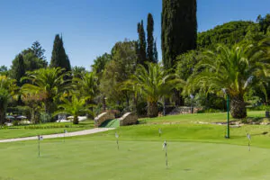Penina Golf Courses (4)