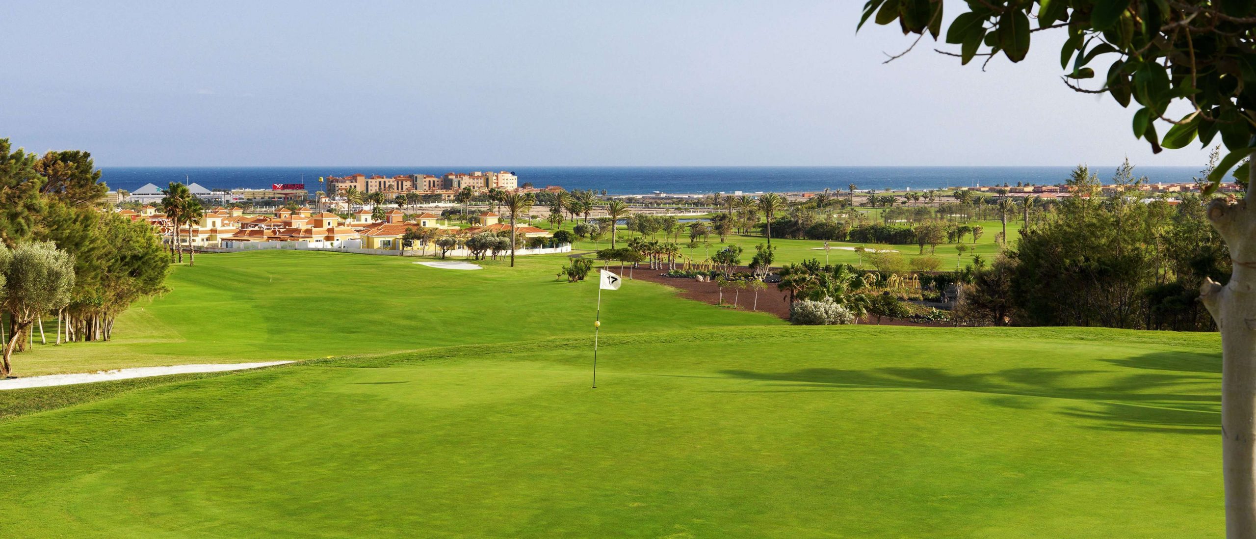 Svaghed Thrust nuttet Fuerteventura Golf Club Golf Course in Fuerteventura | Golf Escapes