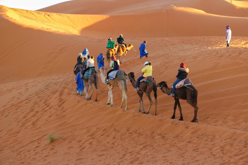 desert camel ride